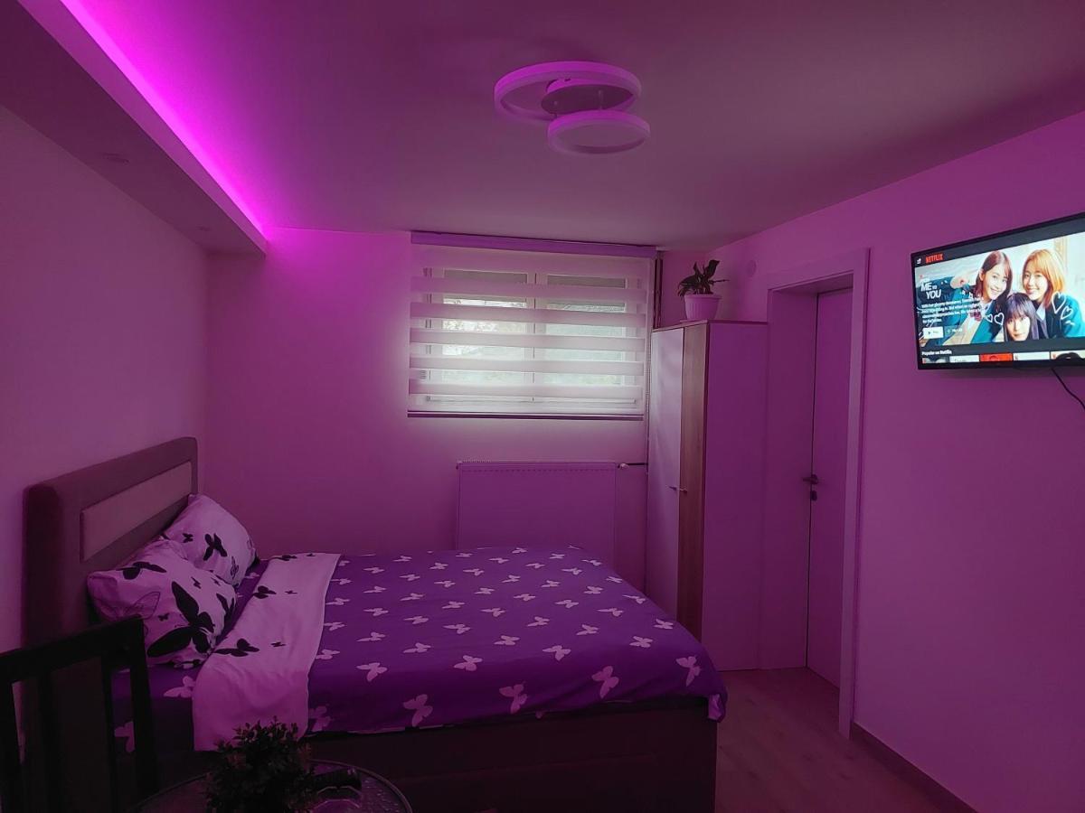 לסקובץ Apartman Zivkovic מראה חיצוני תמונה