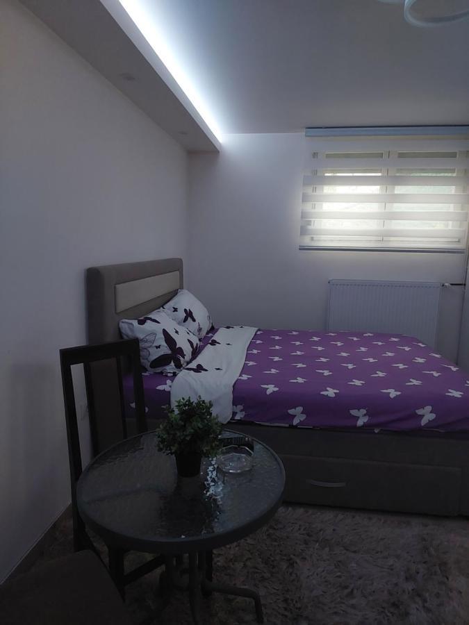 לסקובץ Apartman Zivkovic מראה חיצוני תמונה