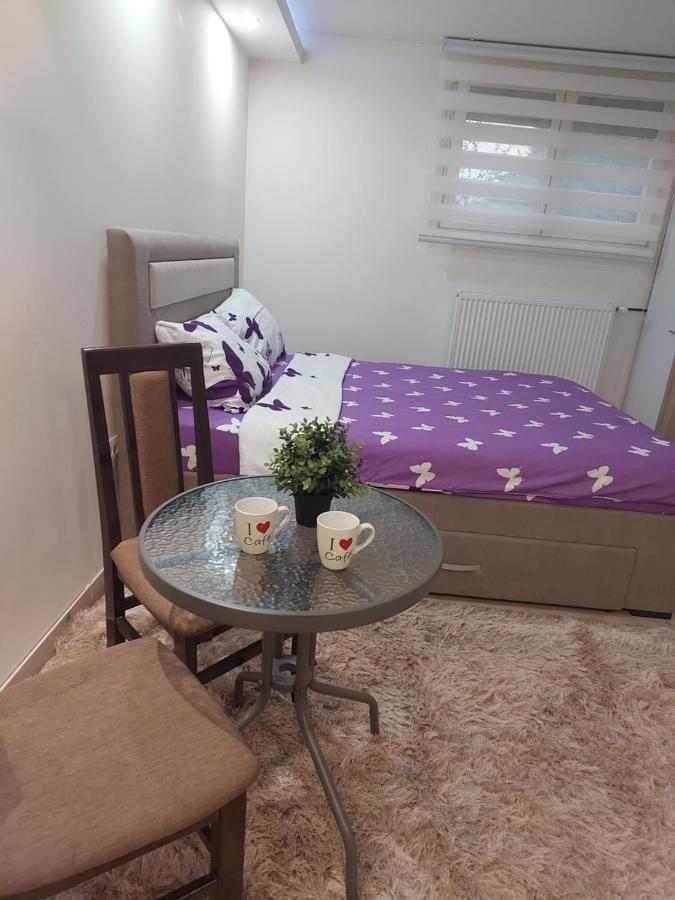 לסקובץ Apartman Zivkovic מראה חיצוני תמונה