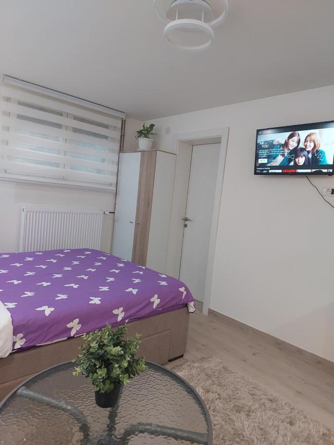 לסקובץ Apartman Zivkovic מראה חיצוני תמונה