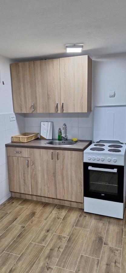 לסקובץ Apartman Zivkovic מראה חיצוני תמונה