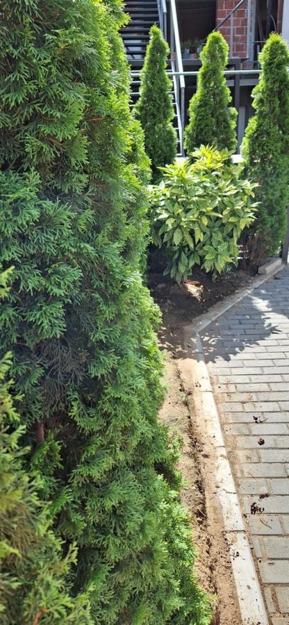 לסקובץ Apartman Zivkovic מראה חיצוני תמונה