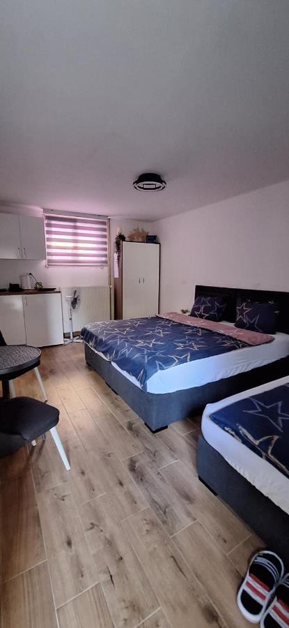 לסקובץ Apartman Zivkovic מראה חיצוני תמונה